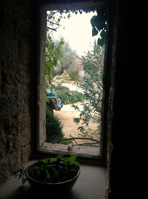 A window of a house