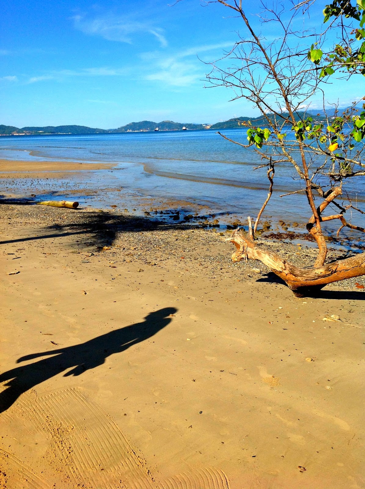 A walk on the beach