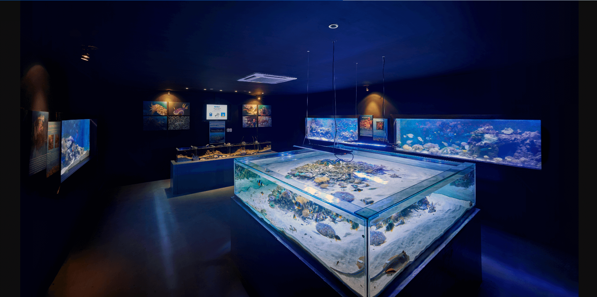 The marine conservation center of Gaya Island Resort