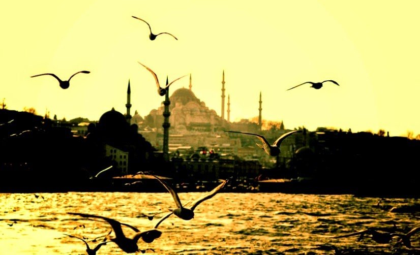 Istanbul landscape