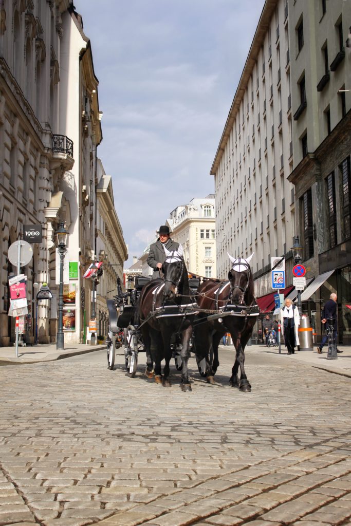 Horse Ride in Vienna