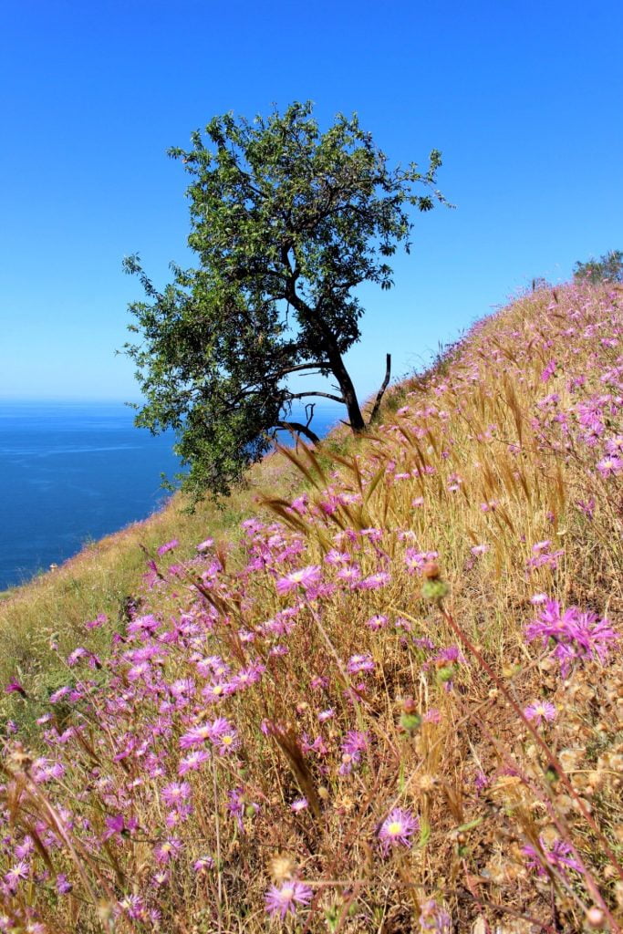 countryside landscape