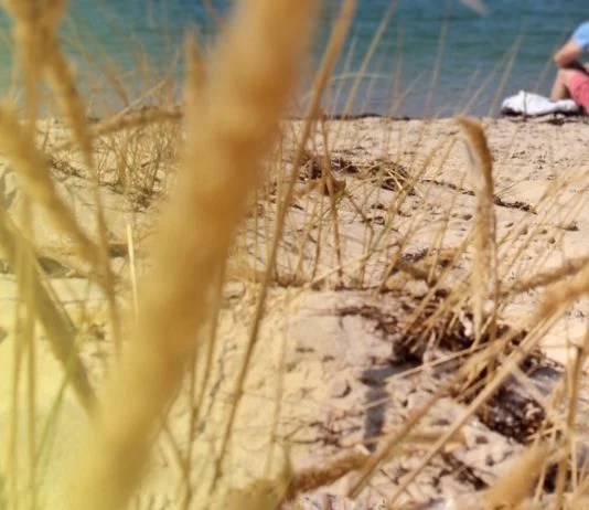 man sitting on the seashore