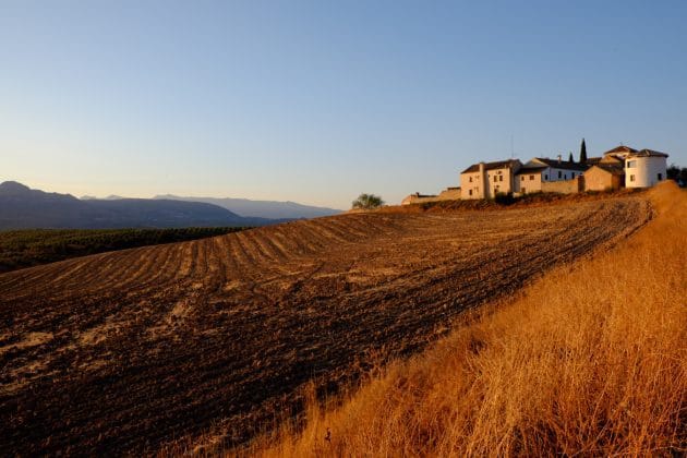 Hotel Review on Hotel Cortijo del Marques Granada by Flying Baguette Travel Blog