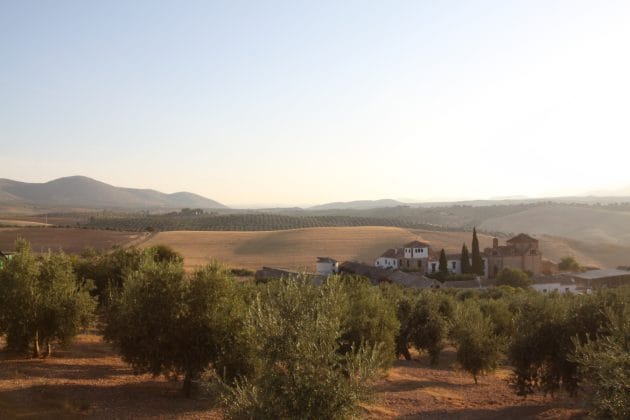 Hotel Review on Hotel Cortijo del Marques Granada by Flying Baguette Travel Blog