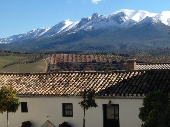 Hotel Review on Hotel Cortijo del Marques Granada by Flying Baguette Travel Blog